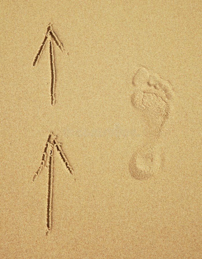 Trace of a human foot on sand. Tourist traffic. Trace of a human foot on the sand and arrows. Tourist traffic royalty free stock photos