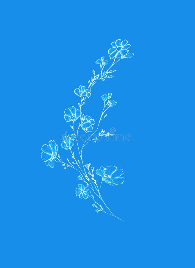 Tree branch with flowers and leaves, graphic hand drawn, blossom tree on light blue background. Simple pencil art.  royalty free illustration