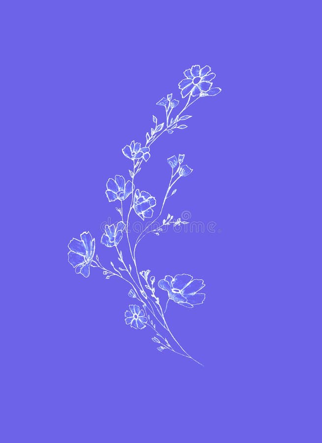 Tree branch with flowers and leaves, graphic hand drawn, blossom tree on lilac background. Simple pencil art stock illustration