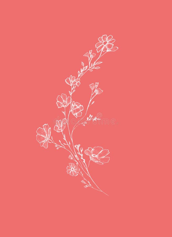 Tree branch with flowers and leaves, graphic hand drawn,  blossom tree  on pink background. Simple pencil art.  vector illustration