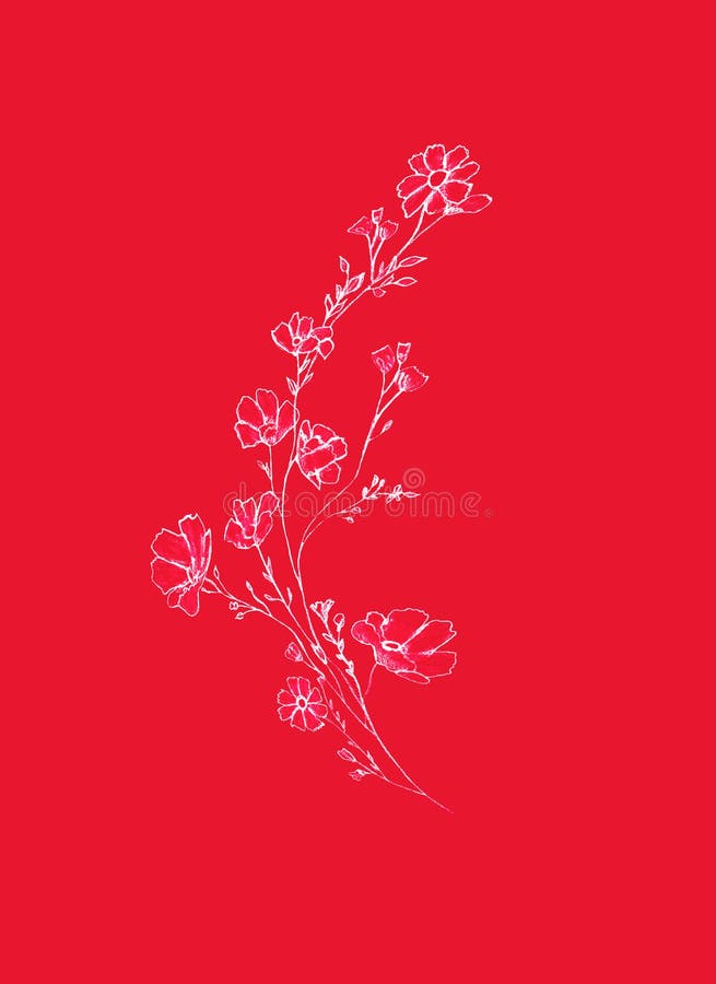 Tree branch with flowers and leaves, graphic hand drawn, blossom white tree on red background. Simple pencil art.  vector illustration