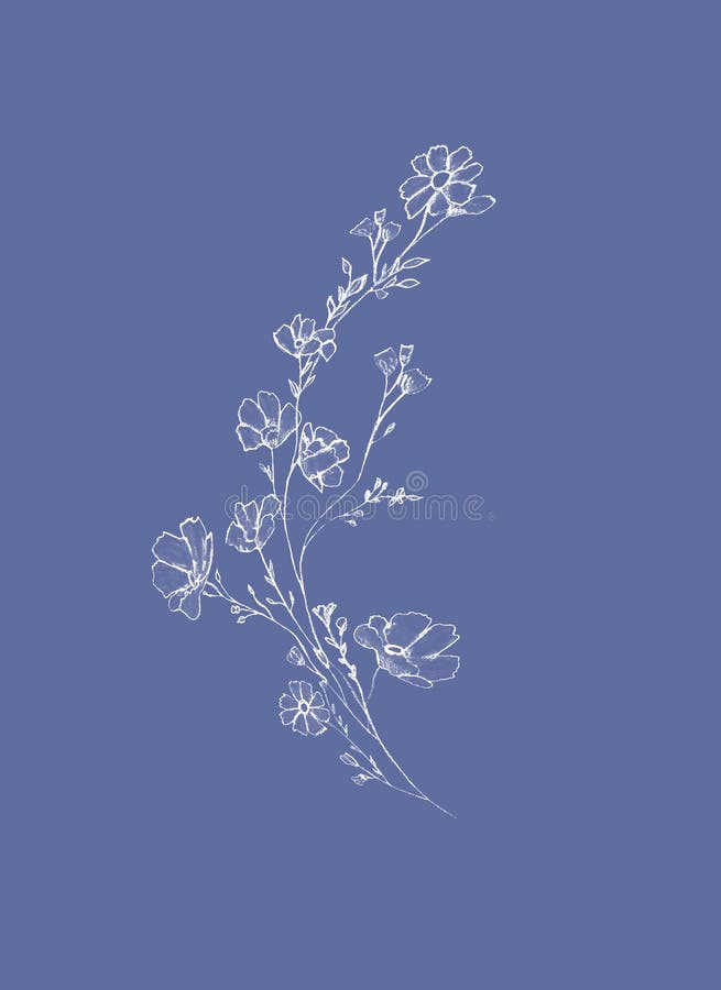 Tree branch with white flowers and leaves, graphic hand drawn,  blossom tree  on lilac background. Simple pencil art.  vector illustration