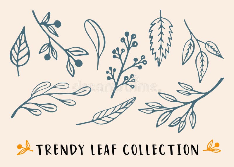 Trendy leaf collection in line art. Hand drawn plants, sprigs and various leaves set. Botanical sketch vector illustration