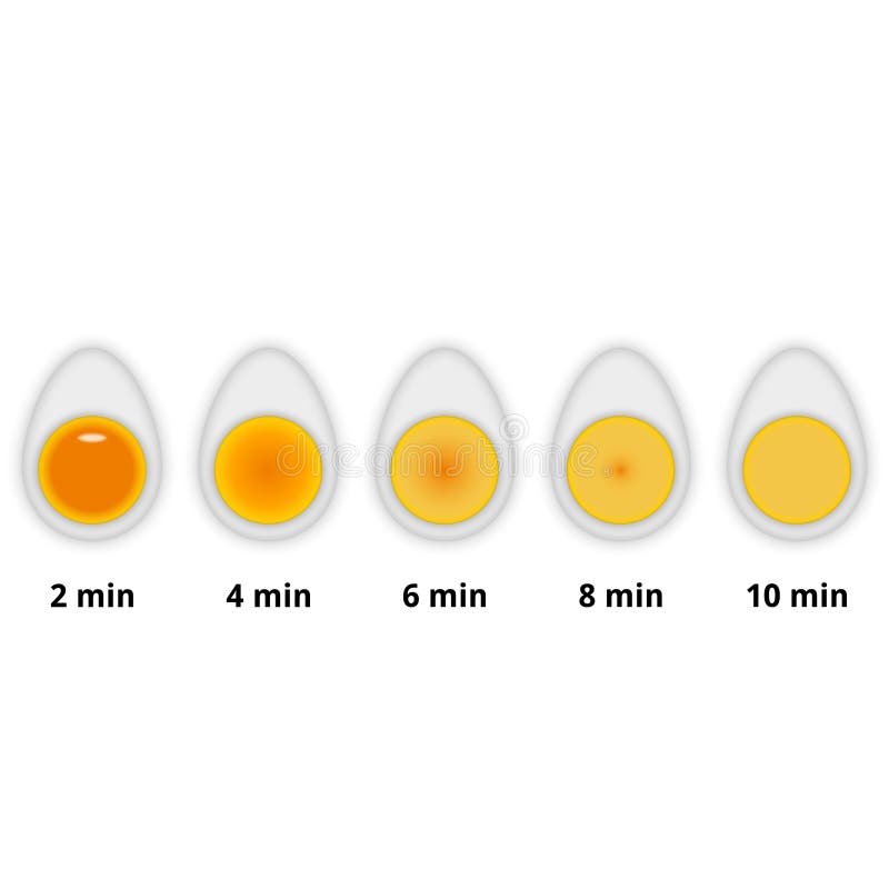 The variations of readiness of boiled chicken eggs in time in a longitudinal cross-section, options for recipe cooking eggs for. Various dishes vector illustration