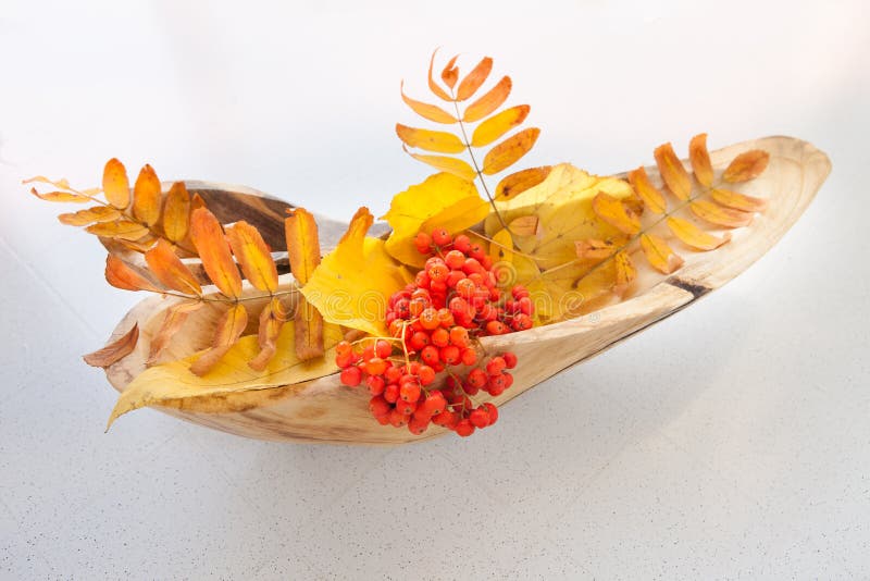 Vase from the wood with autumn leaves and bunches mountain ash royalty free stock image