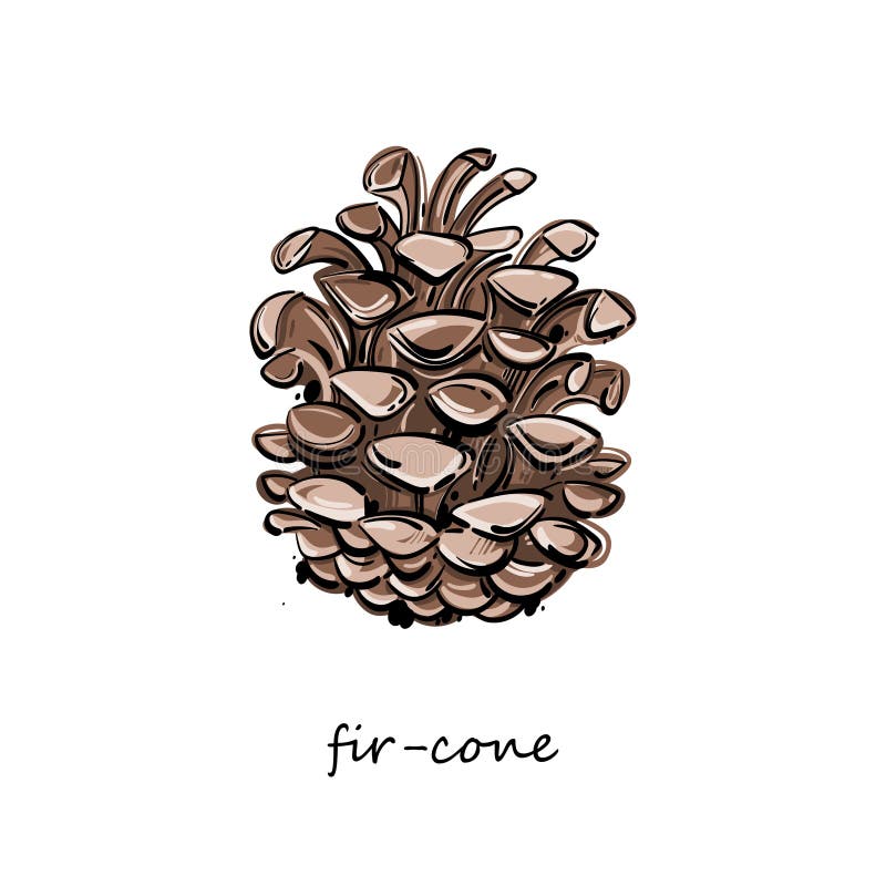 Abstract illustration of a pine cone. Isolate. Hand drawing. Graphic arts royalty free illustration