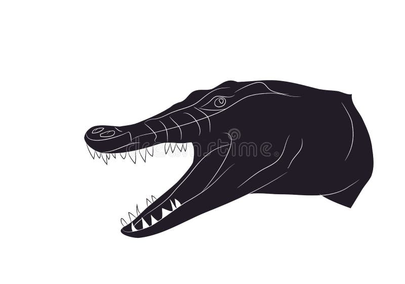 Vector illustration of a crocodile portrait, drawing silhouette. Vector illustration of a crocodile portrait, drawing silhouette, vector, white background vector illustration