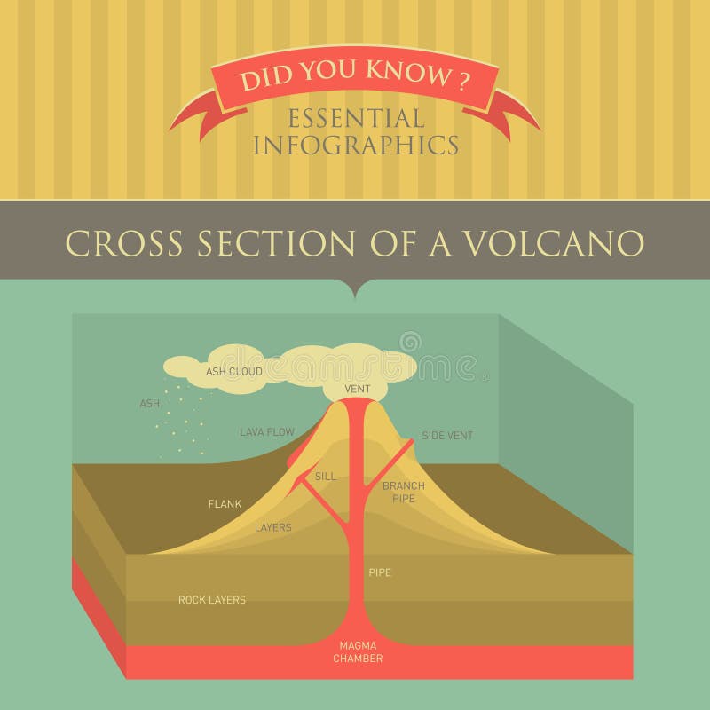 Vector Infographic - Cross Section of Volcano. Cross Section of Volcano stock illustration