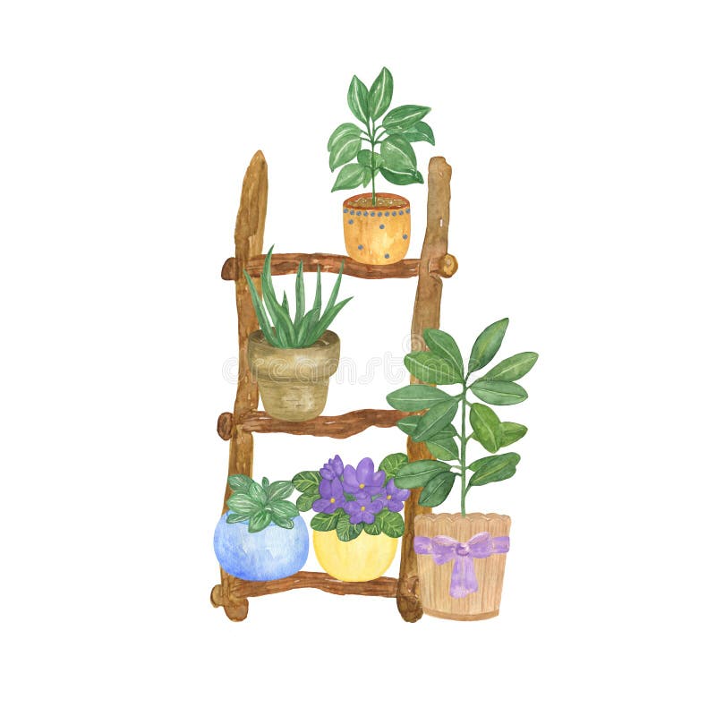 Watercolor houseplants on a wooden ladder, hand drawn illustration of ficus, aloe vera, violet, cactus homeplants stock illustration