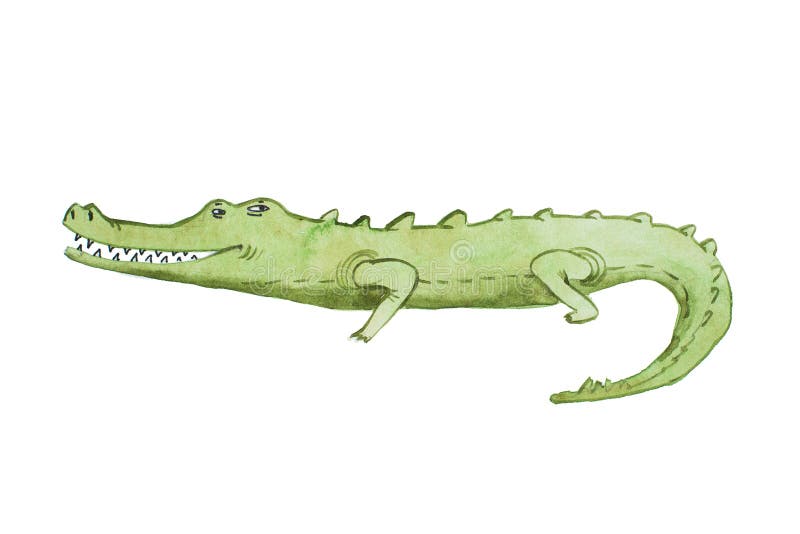 Watercolor illustration of crocodile hand drawn aquarelle.  vector illustration