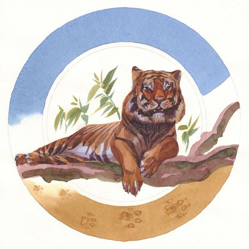 Watercolor painted tiger on a multicolored round background. Hand drawn illustration royalty free illustration Watercolor painted tiger on a multicolored round background. Hand drawn illustration royalty free illustration