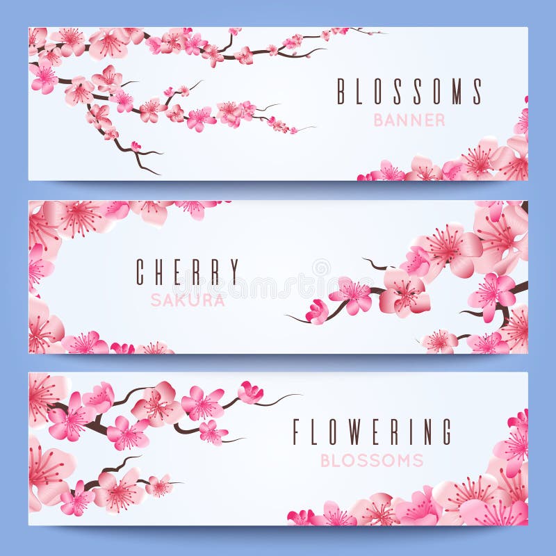 Wedding banners template with spring japan sakura, cherry blossom. Greeting invitation with sakura, illustration of japanese cherry in wedding invitation card royalty free illustration