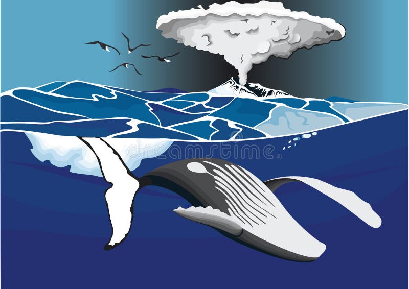 Drawing in color of whale under volcano. A whale swimming under volcano vector illustration