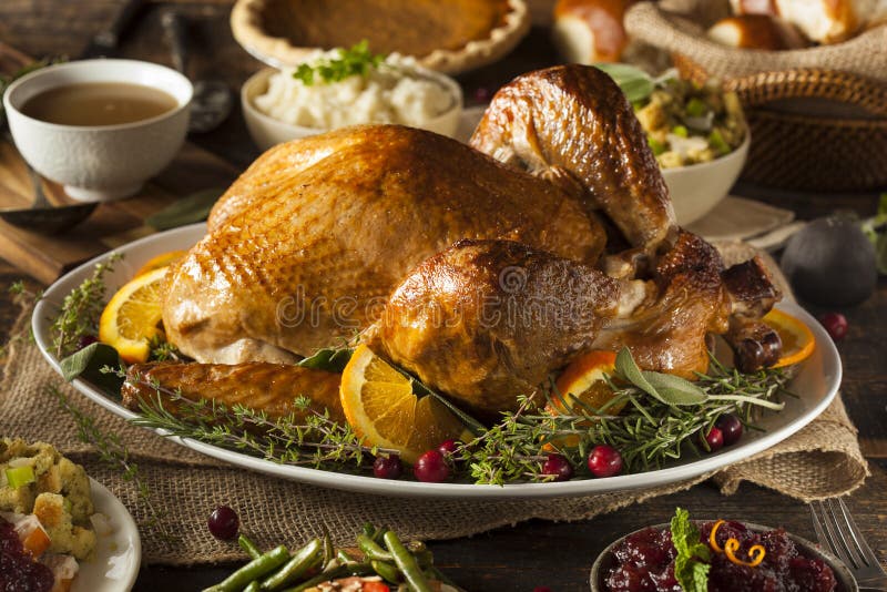 Whole Homemade Thanksgiving Turkey royalty free stock image Whole Homemade Thanksgiving Turkey royalty free stock image