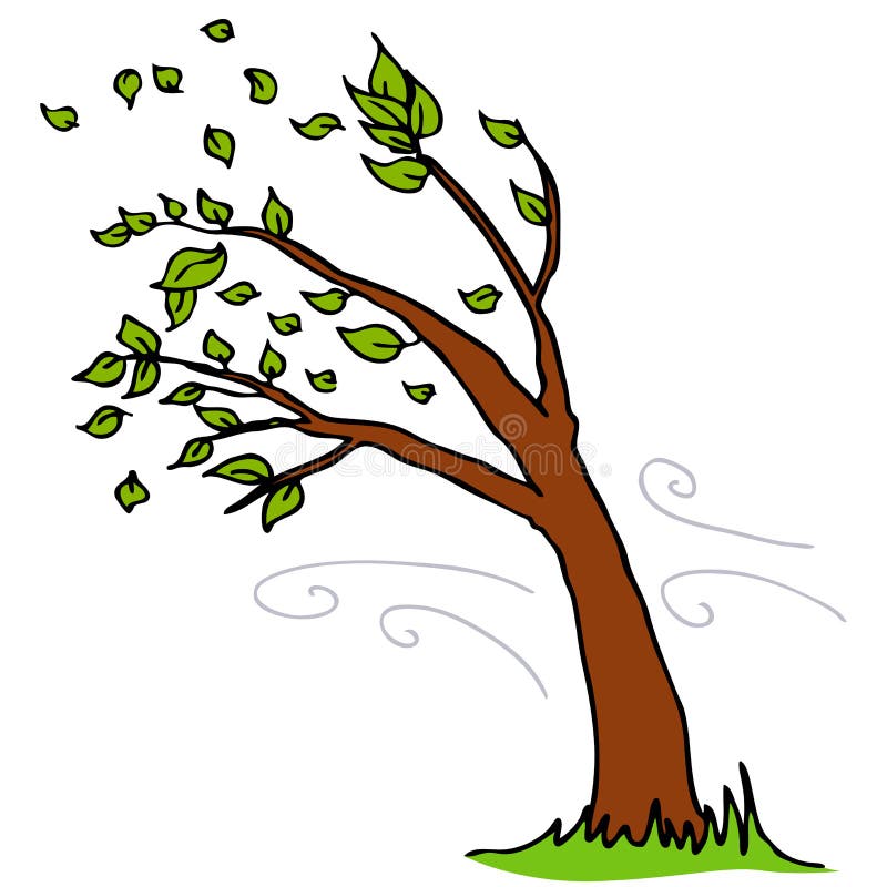 Wind Blowing Leaves Off Tree vector illustration Wind Blowing Leaves Off Tree vector illustration