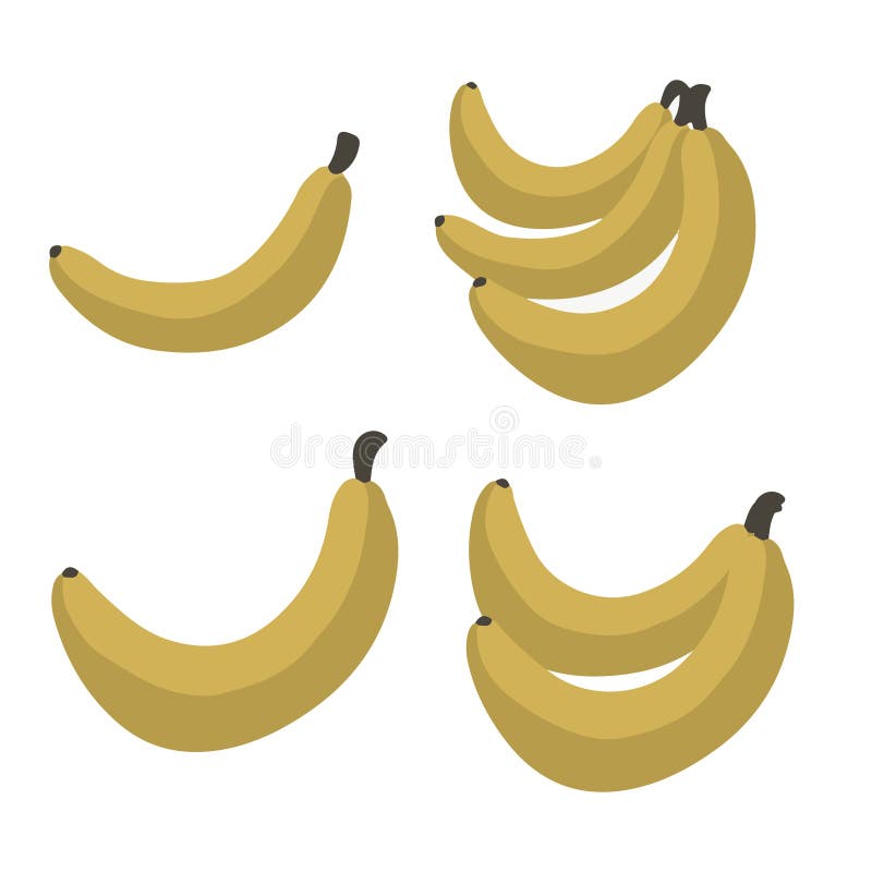 Yellow bananas set of different, vector illustration, hand drawing. Yellow tropic bananas set of different, vector illustration, hand drawing art vector illustration
