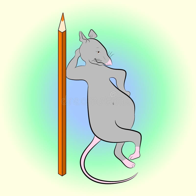 крыс с карандашом. Vector drawing of a rat and a pencil.funny cute picture.can be used for printing in books and magazines stock illustration крыс с карандашом. Vector drawing of a rat and a pencil.funny cute picture.can be used for printing in books and magazines stock illustration