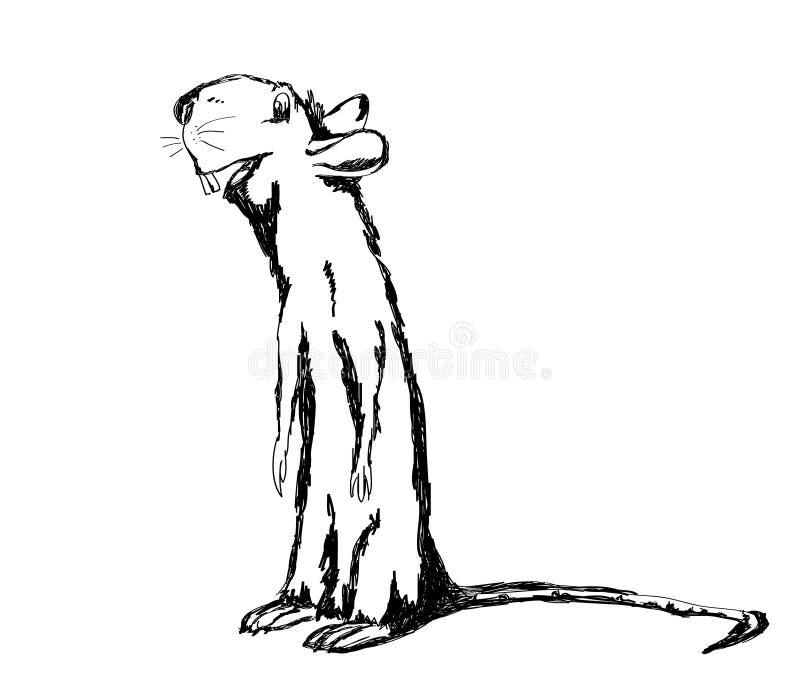 Funny rat drawn by hand on a white background. Simulates drawing a cartoon rat with a marker. Vector illustration. Copy space text royalty free illustration