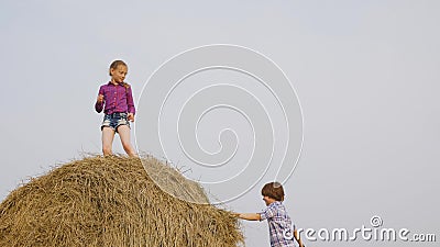 Carefree teenagers playing on haystack on countryside field in village. Happy girl dancing on top haystack at harvesting stock footage