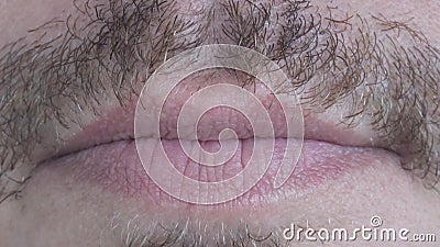 Caucasian Male Lips with Moustache. Extreme Close Up. Caucasian Male Lips. Extreme Close Up shot with a Sony a6300 fps29,97 4k stock video footage