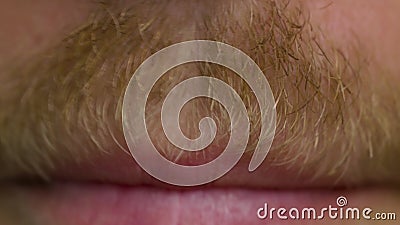 Close up shot of male lips chiwing with a mustache and beard.  stock video