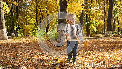 4k video of cheerful smiling 4 years old boy running in autumn park stock video footage