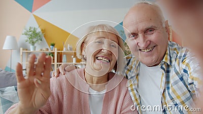 Portrait of cheerful old people making online video call in apartment talking waving hands stock video