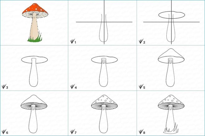 Как нарисовать мухомор для детей легко и просто