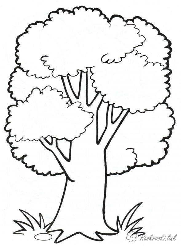 Контур дерева рисунок 005