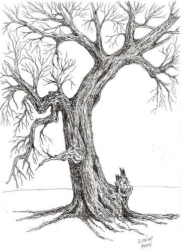 Контур дерева рисунок 006