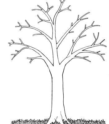 Контур дерева рисунок 016