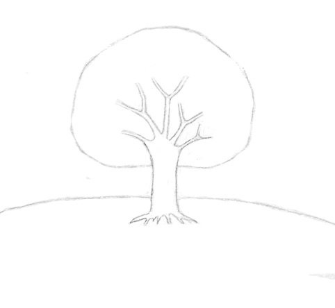 Контур дерева рисунок 023
