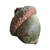 Oak Acorn: Oak Tree Nut