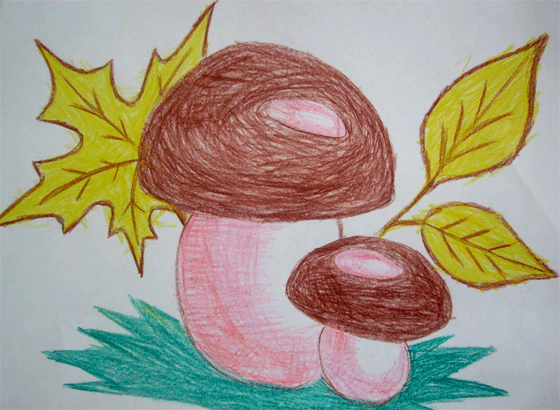 грибы рисунок