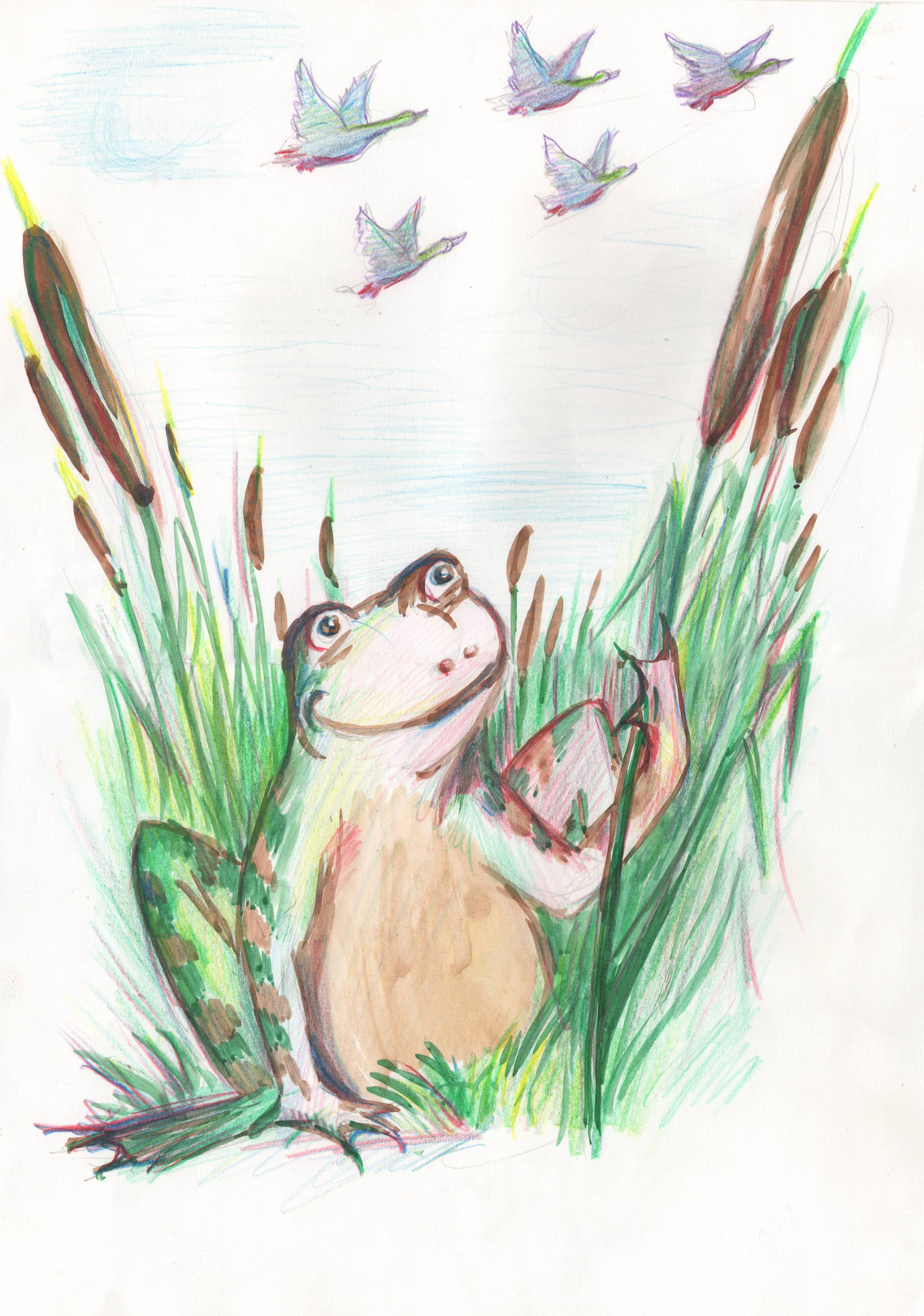Рисунок к сказке лягушка путешественница