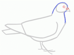 Как поэтапно нарисовать карандашом голубя детям 21