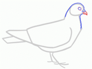 Как поэтапно нарисовать карандашом голубя детям 22