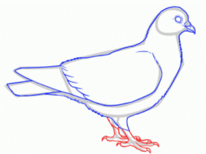Как поэтапно нарисовать карандашом голубя детям 26