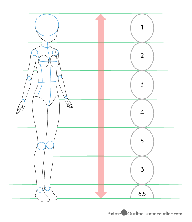 Anime girl body proportions and structure
