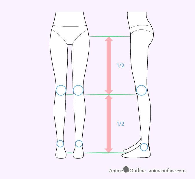 Female anime leg proportions