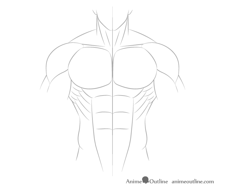 Anime male body side muscles drawing