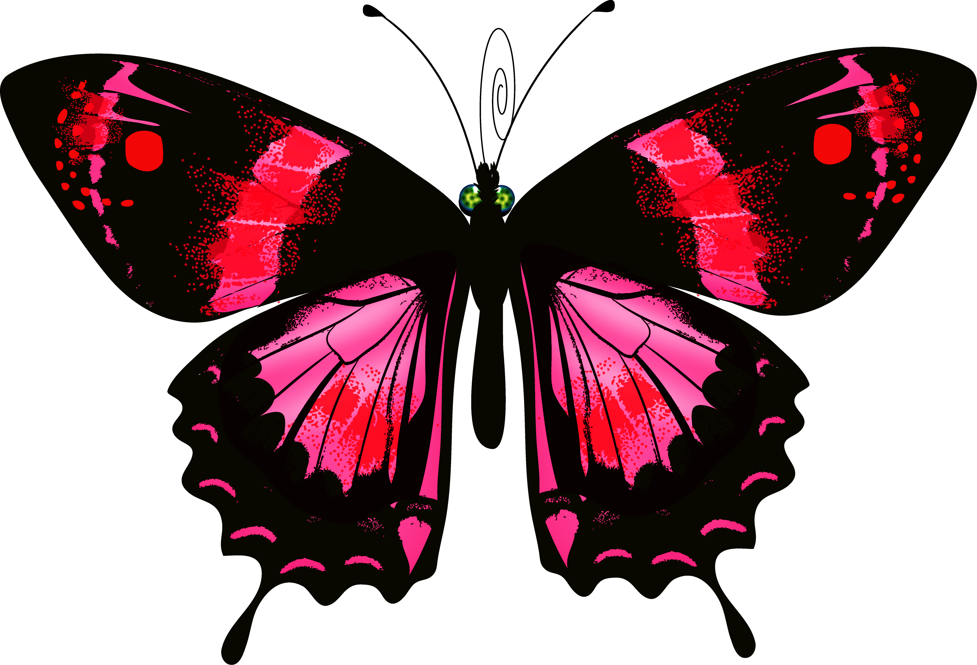 Бабочка скопировать. Разноцветные бабочки. Бабочка рисунок. Бабочка симметрия. Бабочки цветные.