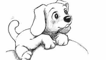 Pets