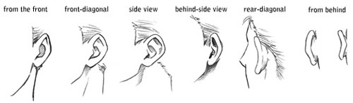 tutorials_howtodraw_ears The Best Drawing Tutorials to Learn How To Draw