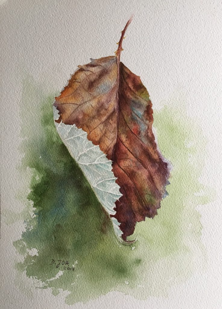 Leaves painting. Листья деревьев акварелью. Этюды листьев. Этюд листьев акварелью. Реалистичные листья акварелью.