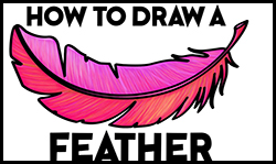 How to Draw a Bird Feather Step by Step