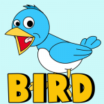 How to Draw Cartoon Birds with Easy Step by Step Drawing Tutorial 
