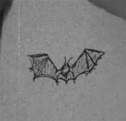 How to draw a bats : How to Draw Bats Step by Step Drawing Lessons