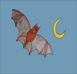 How to draw bats : How to Draw Bats Step by Step Drawing Lessons