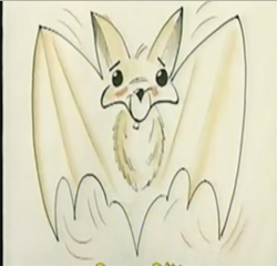 How to draw cartoon bats : How to Draw Bats Step by Step Drawing Lessons